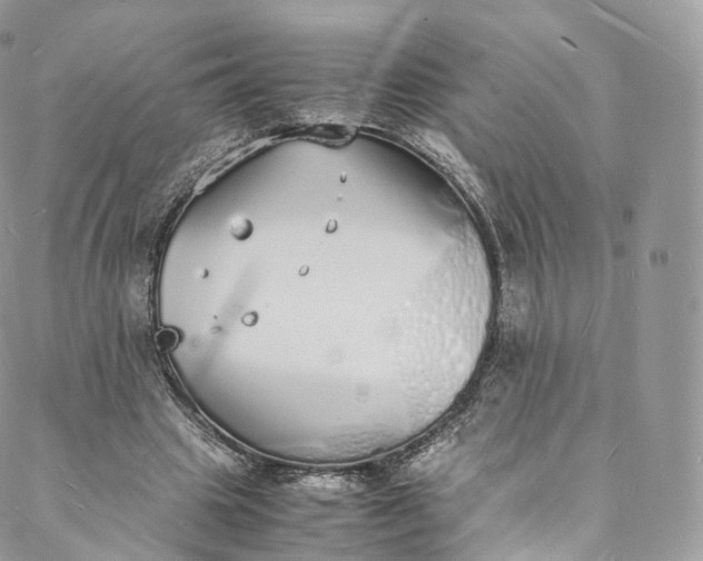 X0000088070441200705251406