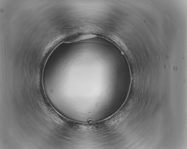 X0000088070442200705251406