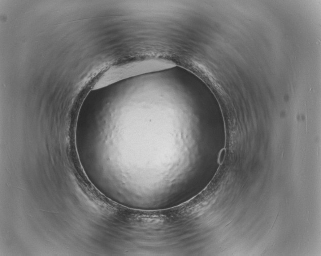 X0000088070443200705251406