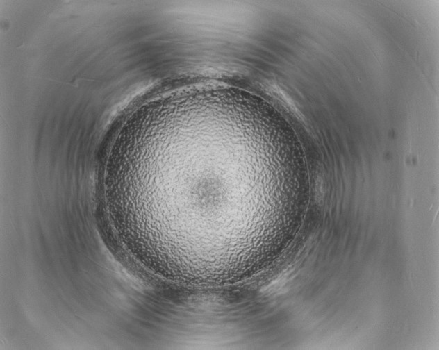 X0000088070444200705251406