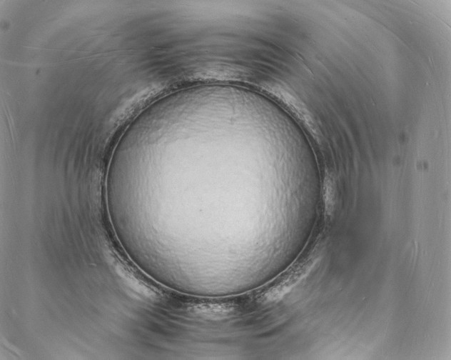 X0000088070445200705251406