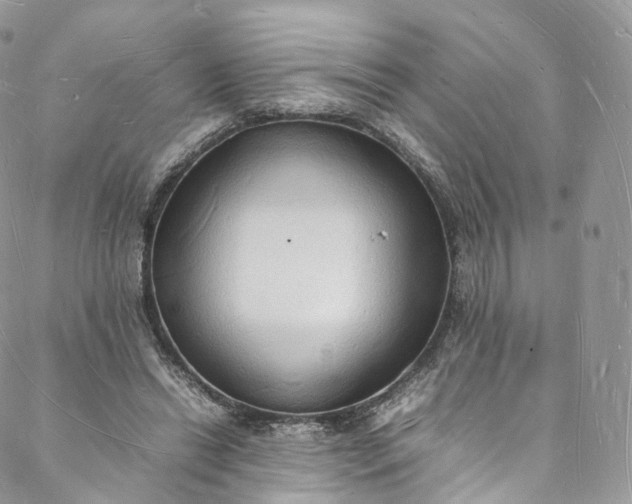 X0000088070446200705251406