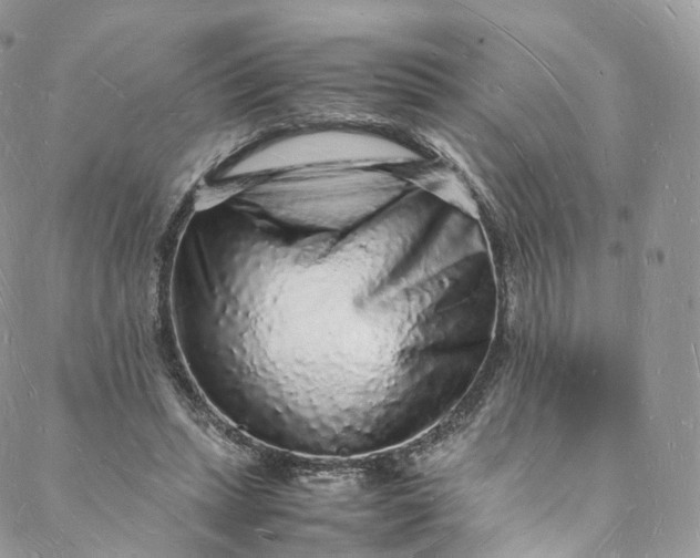 X0000088070447200705251406