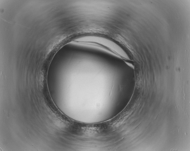 X0000088070448200705251406