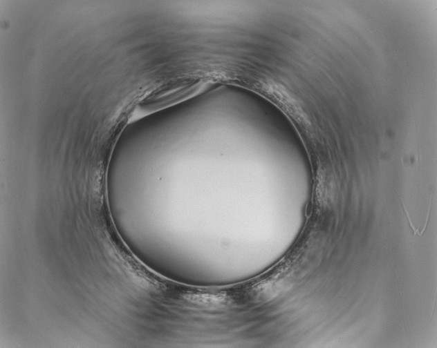 X0000088070449200705251406