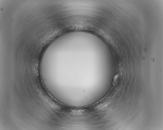 X0000088070450200705251406