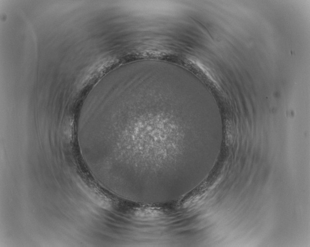 X0000088070451200705251406