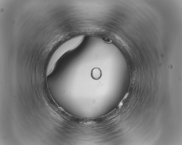 X0000088070452200705251406