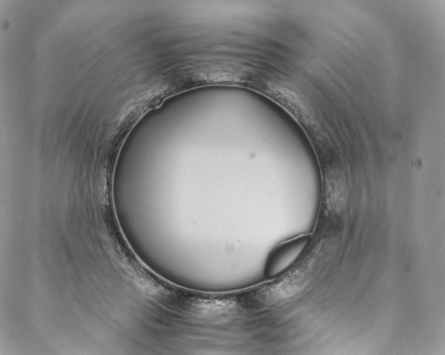 X0000088070453200705251406