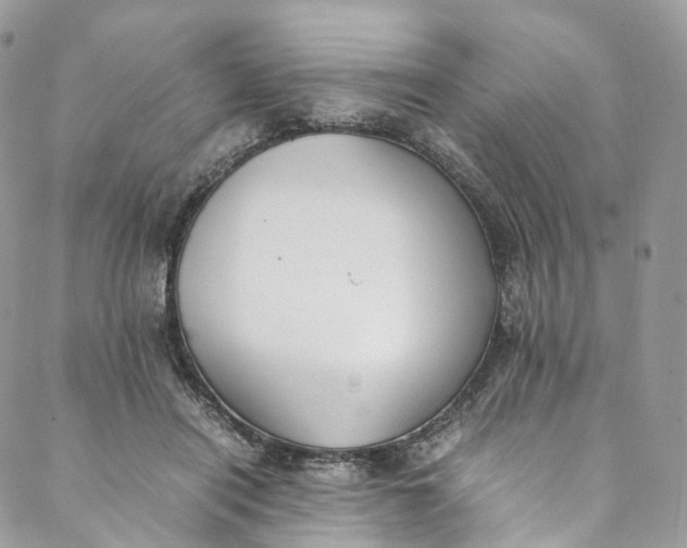 X0000088070454200705251406