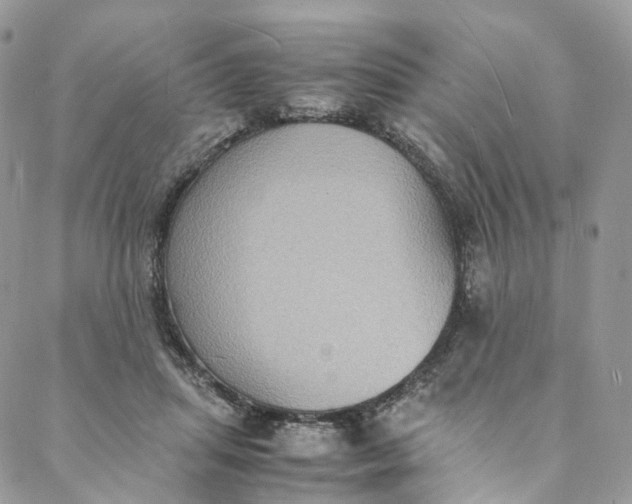 X0000088070455200705251406