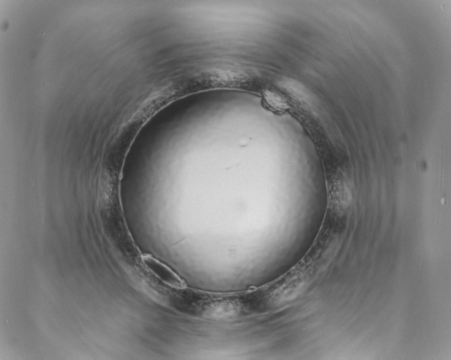 X0000088070456200705251406