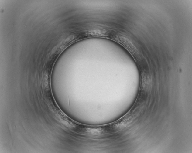 X0000088070457200705251406