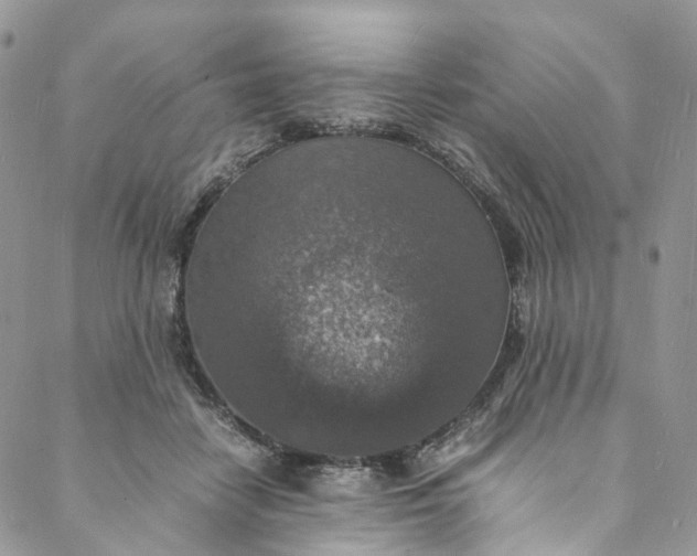 X0000088070458200705251406