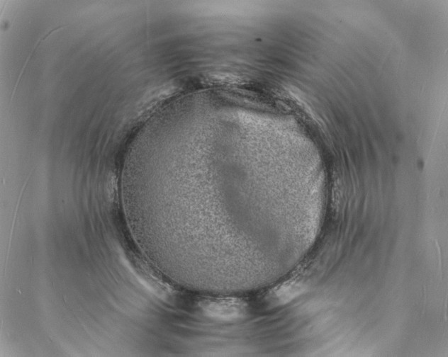 X0000088070459200705251406