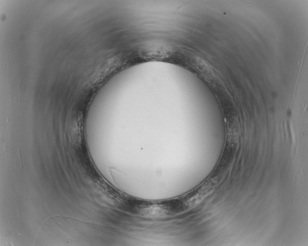 X0000088070460200705251406