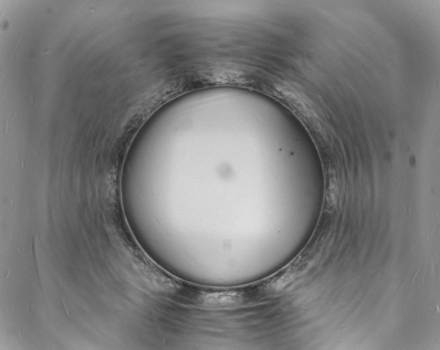 X0000088070461200705251406