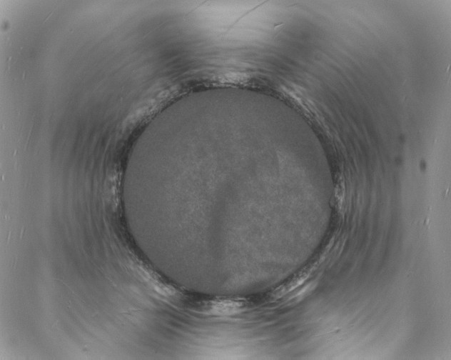 X0000088070462200705251406