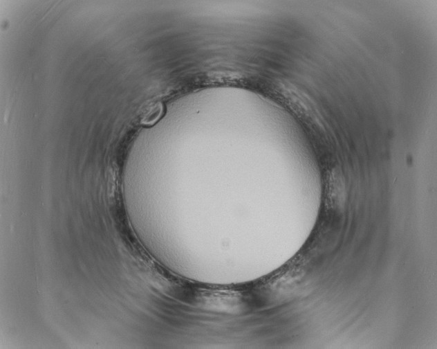 X0000088070463200705251406