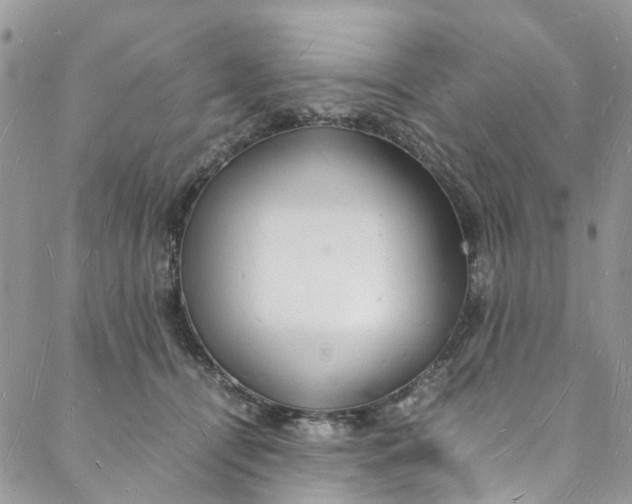 X0000088070464200705251406