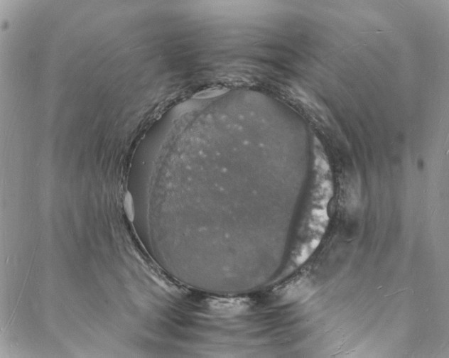 X0000088070465200705251406