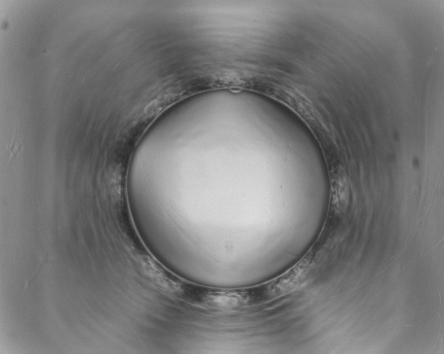 X0000088070466200705251406