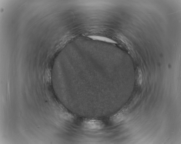 X0000088070467200705251406