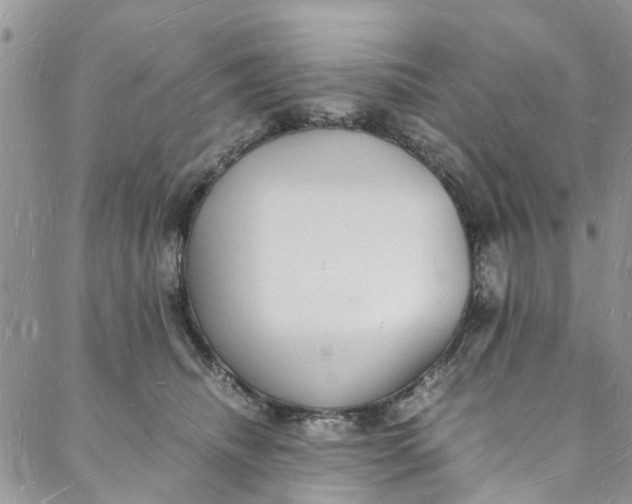 X0000088070468200705251406