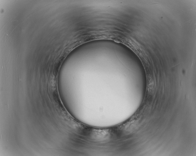 X0000088070469200705251407