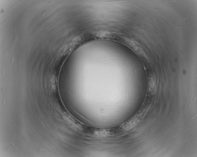 X0000088070470200705251407