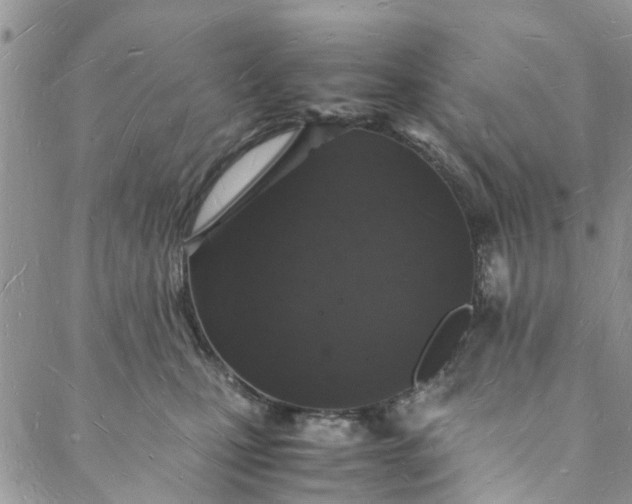 X0000088070471200705251407