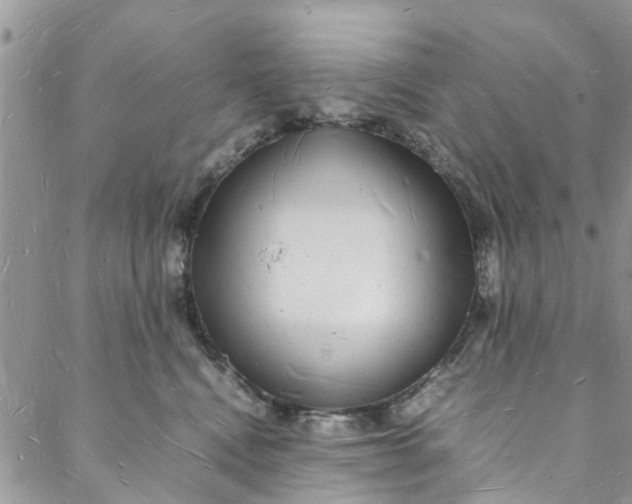 X0000088070472200705251407