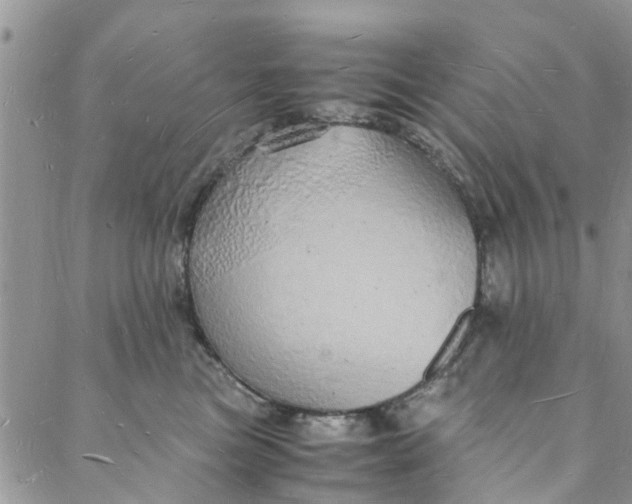 X0000088070473200705251407