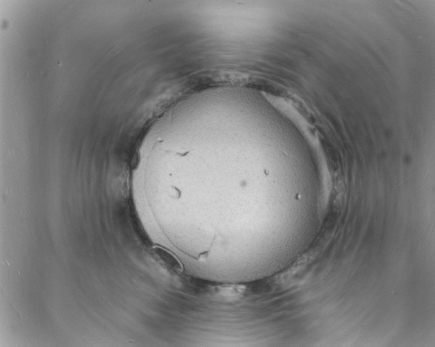 X0000088070474200705251407