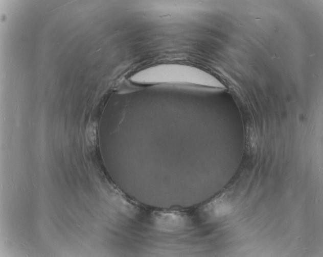 X0000088070475200705251407