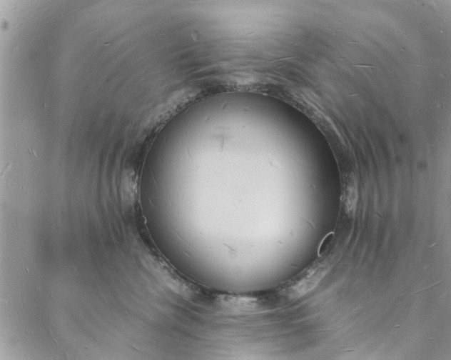 X0000088070476200705251407