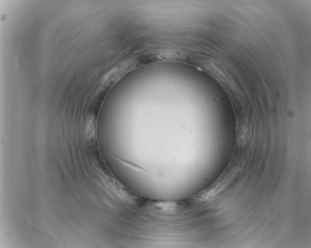 X0000088070478200705251407