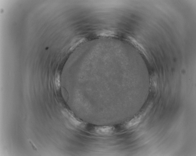 X0000088070479200705251407