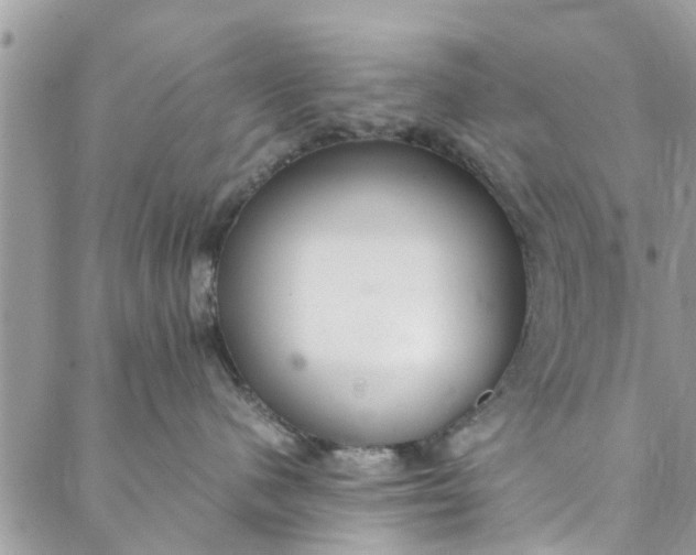 X0000088070480200705251407