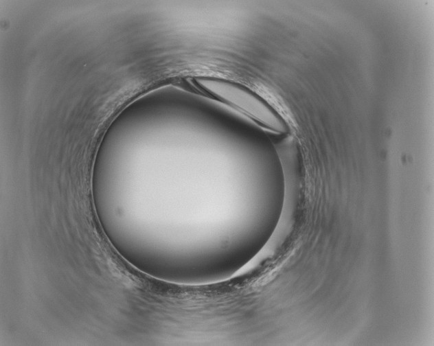 X0000088070481200705251406