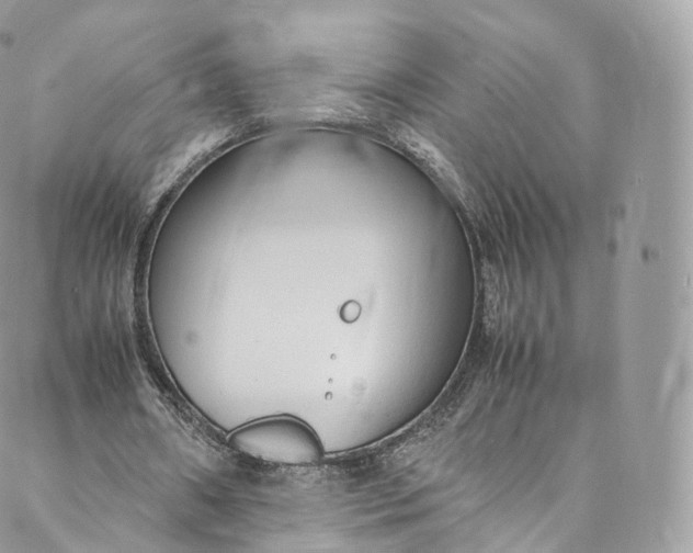 X0000088070482200705251406