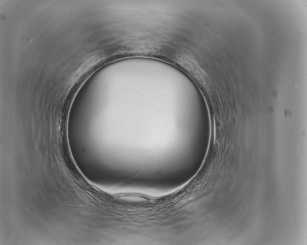 X0000088070483200705251406