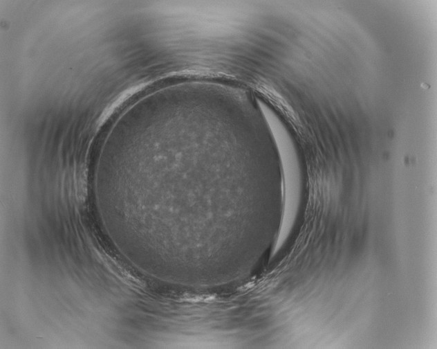 X0000088070484200705251406