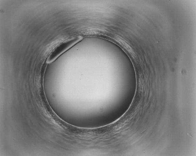 X0000088070485200705251406