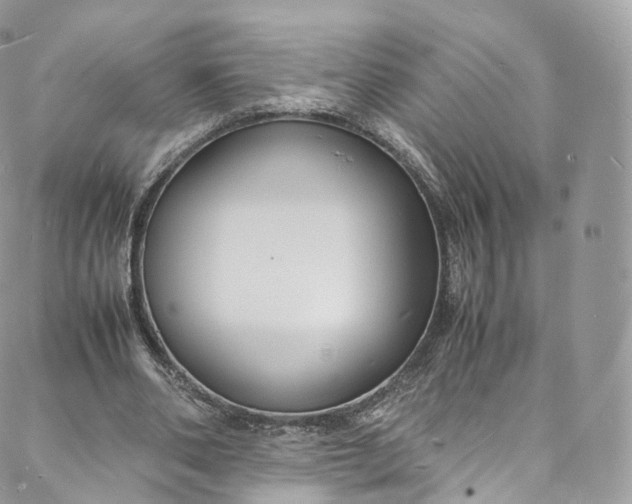 X0000088070486200705251406