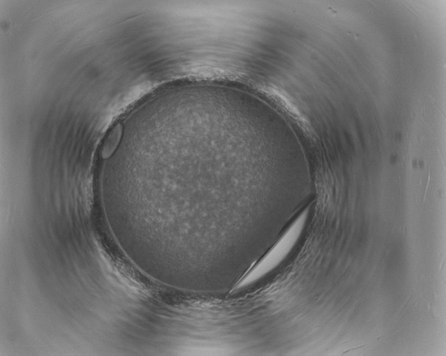 X0000088070488200705251406