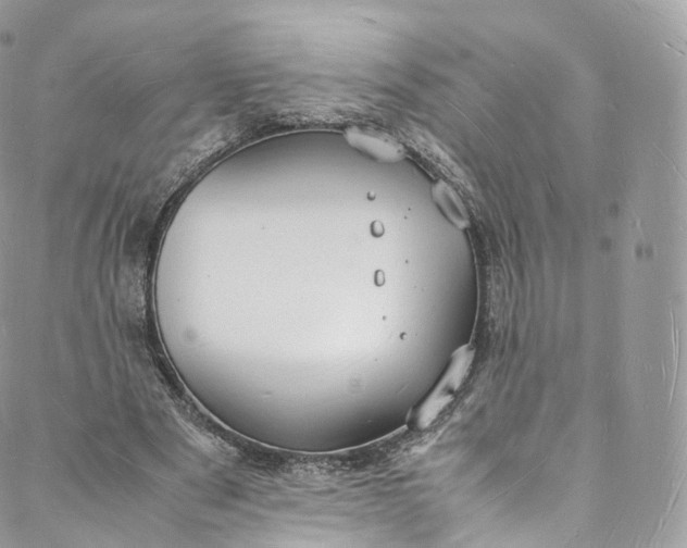 X0000088070489200705251406