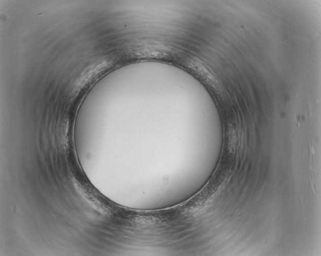 X0000088070490200705251406