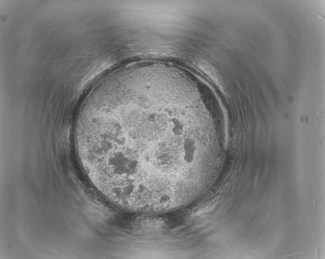 X0000088070491200705251406