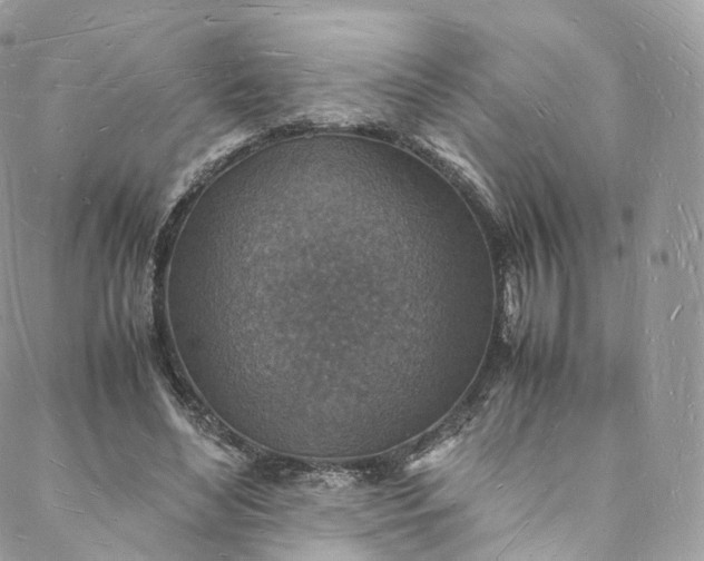 X0000088070492200705251406